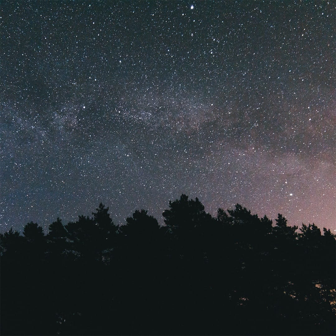 Best settings for low-light photography