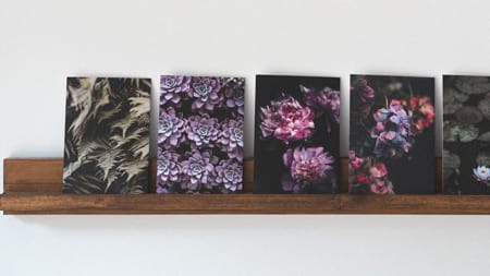 The expert guide to printing your photos properly