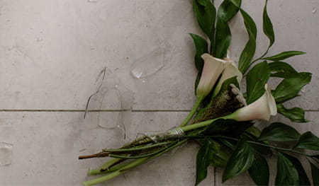 Guide to still life photography